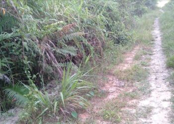 Akses Jalan ke Dusun Jatus Kini Sudah Tak Lagi Terputus