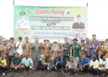 Ketahanan Pangan di Ciptakan Melalui Penanaman Cabai dan Padi Gogo