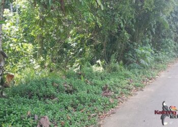 Jalan ke Desa Tarinsing Kini Sudah Nyaman Untuk Lintas Kendaraan 