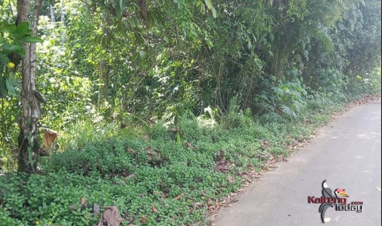 Jalan ke Desa Tarinsing Kini Sudah Nyaman Untuk Lintas Kendaraan 