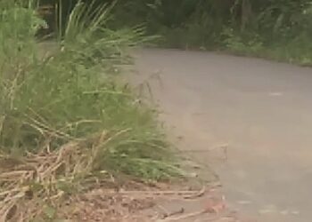 Jalan Menuju Pegunungan Dari Desa Ampari, Masih Relatif Nyaman Dilalui Pengendara Motor
