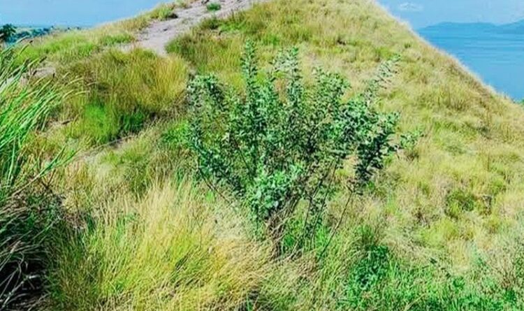 Menunggu Tindak Lanjut Rencana Pemgembangan Wisata Teletorobalo