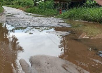 Jalan Provinsi di Kabupaten Barito Timur Rusak Parah