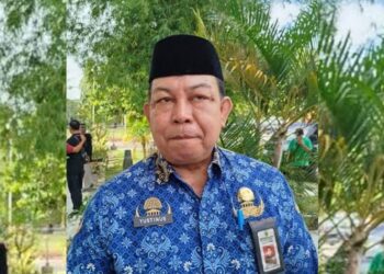 Program MBG Berpotensi Dukung Pengusaha Kecil