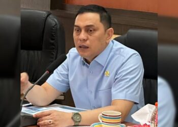 Program MBG Berpotensi Dukung Ketahanan Pangan
