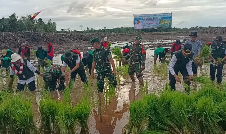 Program Akselerasi Cetak Sawah Rakyat Masih Terkendala Tata Kelola Irigasi