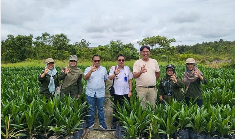 UPT BP3B Awasi Mutu Benih Kelapa Sawit
