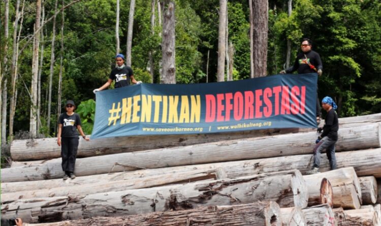 WALHI Kalteng Nilai Kebijakan Semrawut Dapat Memicu Bencana Ekologis Skala Besar