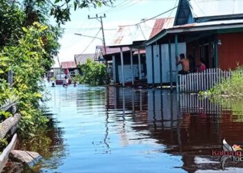 Banjir Mendawai, Bocah 10 Tahun Tenggelam Saat Berenang
