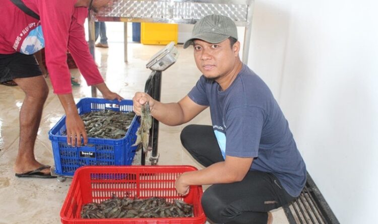 Dislutkan Kalteng Optimalkan Program di Sektor Kelautan dan Perikanan
