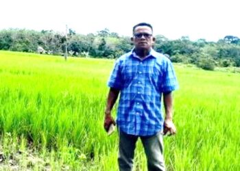 Fokus pada Infrastruktur untuk Tingkatkan Kesejahteraan Petani di Desa Bintang Ninggi II