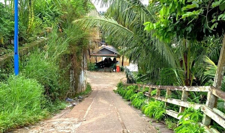 Pelebaran Jalan di Sekitar Jembatan Sei Tewei untuk Dukung Konektivitas