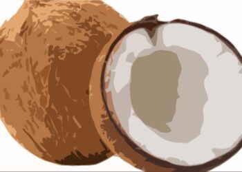 Kena Gula Darah dan Ginjal? Konsumsi Saja Air Kelapa Tua