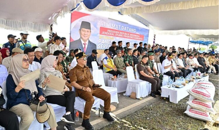 Jaga Stabilitas Harga Pangan, Pemprov Ikuti Panen Raya Padi dari Pandih Batu