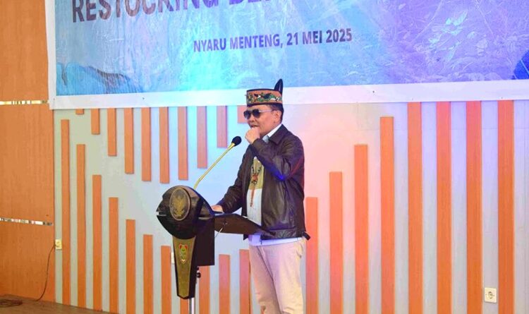 Agustiar Tebar Bibit Bapuyu di Danau Tahai