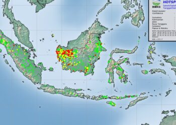 446 Titik Panas Terpantau di Kalteng, Walhi Kalteng Soroti Karhutla Berulang di Area Konsesi Perusahaan