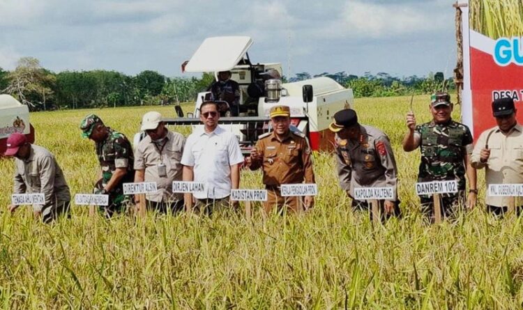 Teknologi Pascapanen Didorong Jadi Kunci Swasembada Pangan di Kapuas