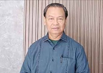 Legislator Kalteng Tekankan Pentingnya Replanting dan Ketersediaan Dokter di Lamandau
