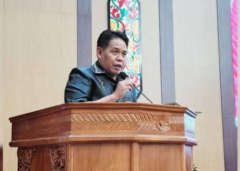 Kemandirian Desa di Katingan, Minta Pendampingan Pemerintah
