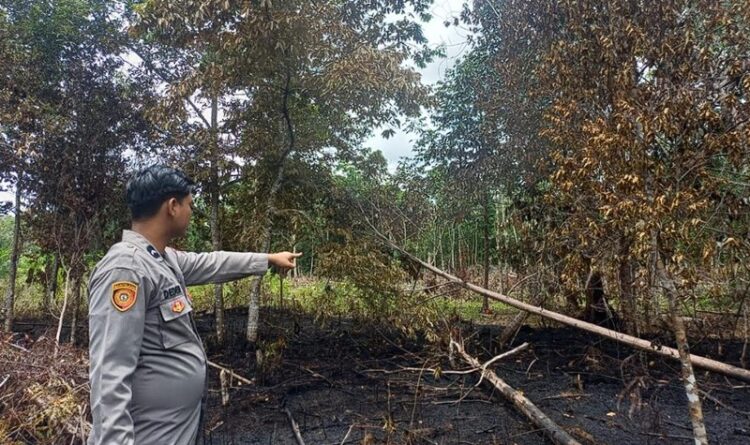 Petugas Langsung Bergerak Lacak Titik-titik Hotspot Terdeteksi di wilayah Kecamatan Dusun Timur