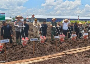 Pemprov Kalteng Dukung Program Nasional Sektor Pertanian