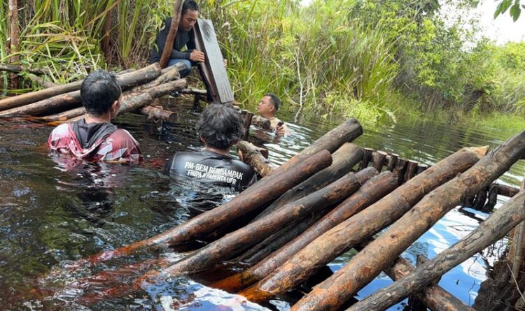 PM-BEM Berdampak Asal Kampus UPR dan Warga Tampelas Lakukan Konservasi Gambut