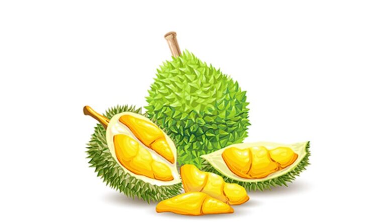 Meski Tak Berlimpah, Produksi Buah di Bartim Tetap Jadi Berkah