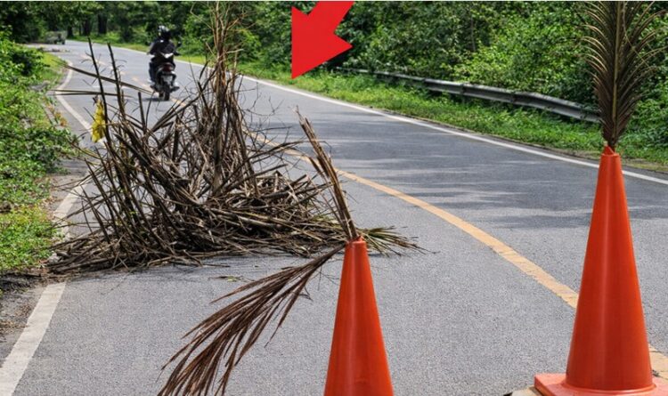 Upaya Bupati dan Wakil Bupati Usulkan Perbaikan Jalan Raya Negara, Didukung Penuh Warga