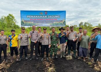 Sinergi Polri-TNI dan Warga, Polsek Pahandut Kelola 2,5 Hektar Lahan Jagung di Palangka Raya