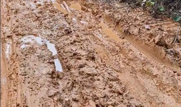 Jalan Bak Kubangan, Perjuangan Guru ke Sekolahan Tetap Tak Padam