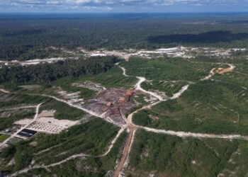 SOB: Deforestasi di DAS Kapuas Masih Terjadi, Target Karbon Jadi Paradoks