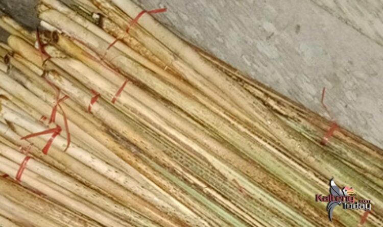 Atasi Krisis dan Inflasi, Kemandirian Petani Dapat Memantapkan Ekonomi