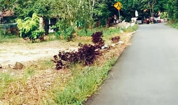 Tak Lagi Jalan Tanah, Desa Gumpa dan Desa Matarah Sudah Banyak Berubah
