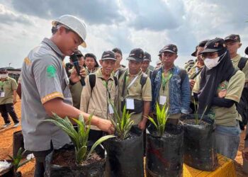 Dari Kebun BGA ke Kebun Rakyat, Field Trip Jadi Jembatan Transfer Teknologi Sawit