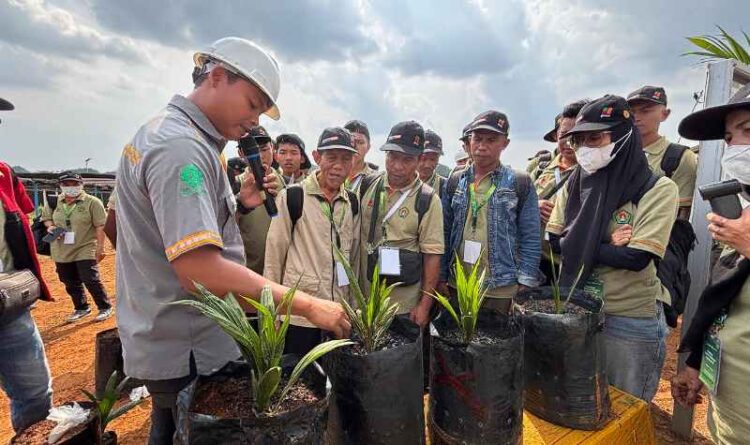 Dari Kebun BGA ke Kebun Rakyat, Field Trip Jadi Jembatan Transfer Teknologi Sawit