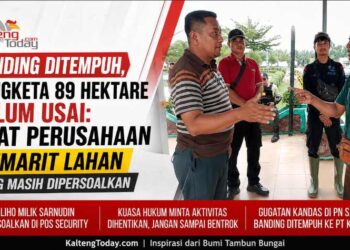Banding Ditempuh, Sengketa 89 Hektare Belum Usai: Saat Perusahaan Memarit Lahan yang Masih Dipersoalkan