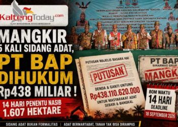 Mangkir 5 Kali Sidang Adat, PT BAP Dihukum Rp438 Miliar : 14 Hari Penentu Nasib 1.607 Hektare