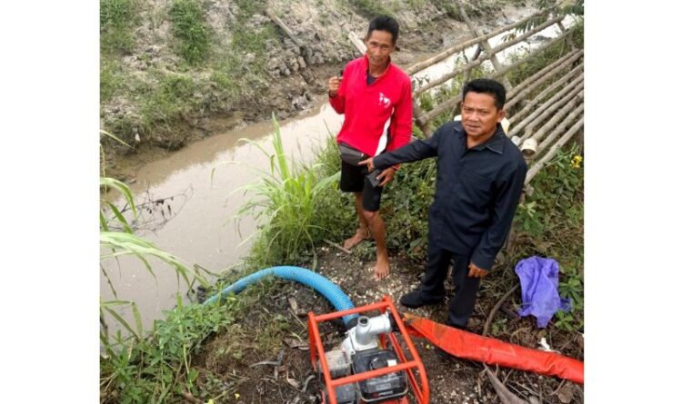 Kekeringan Trinsing Kiri Barito Utara: DPRD Ardianto Minta Pembangunan Sumur Bor untuk Petani