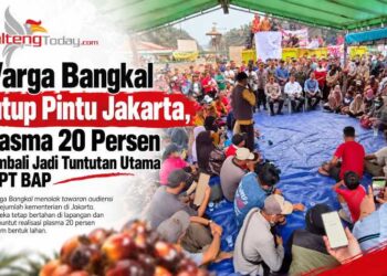 Warga Bangkal Tutup Pintu Jakarta, Plasma 20 Persen Kembali Jadi Tuntutan Utama ke PT BAP