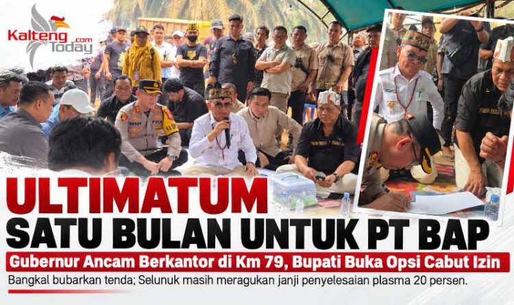 Ultimatum Satu Bulan untuk PT BAP : Gubernur Ancam Berkantor di Km 79, Bupati Buka Opsi Cabut Izin