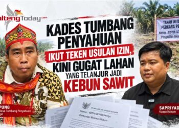 Kades Tumbang Penyahuan Ikut Teken Usulan Izin, Kini Gugat Lahan yang Terlanjur Jadi Kebun Sawit