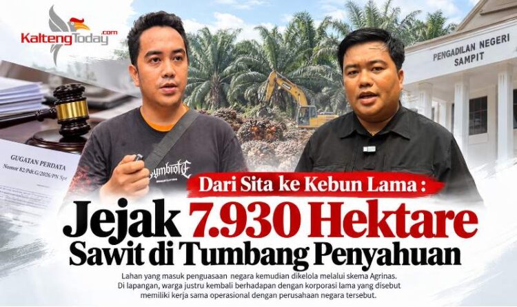 Dari Sita ke Kebun Lama : Jejak 7.930 Hektare Sawit di Tumbang Penyahuan