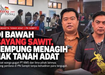Di Bawah Bayang Sawit, Sempung Menagih Hak Tanah Adat ke Pengadilan